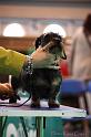 Crufts2011_2 1301